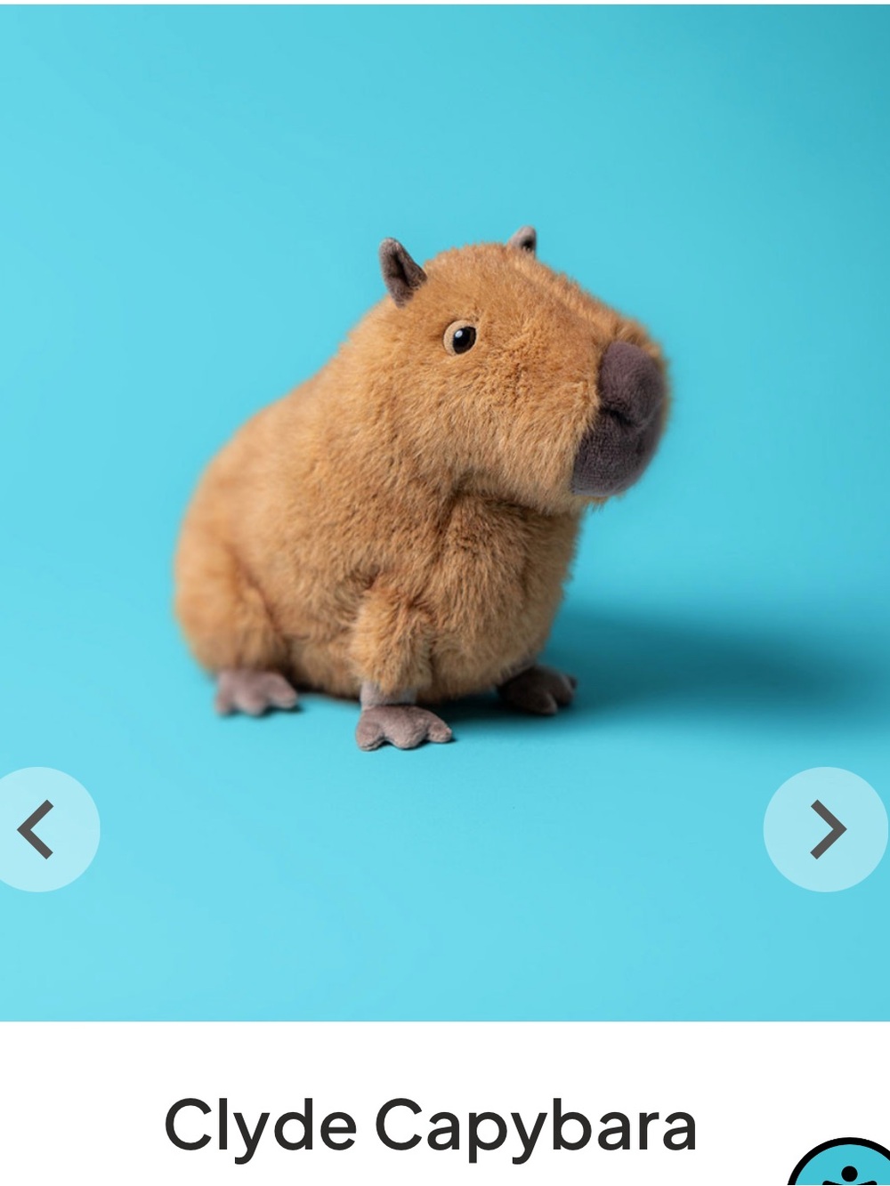 Jellycat Clyde Capybara - Picture 2 of 11
